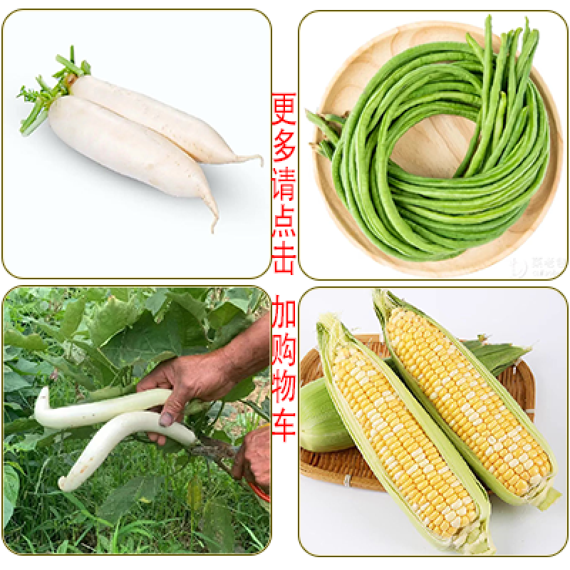 【果疏类】任选